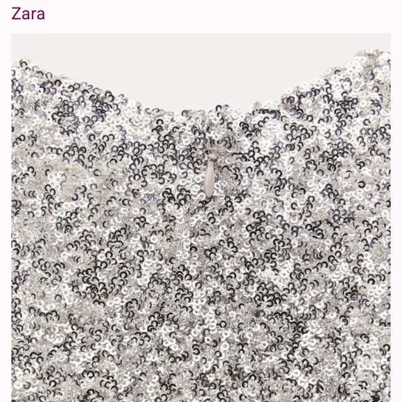 Zara Sparkle Sequin Shoulder Pads  Dress ZW COLLECTION - Picture 6 of 16